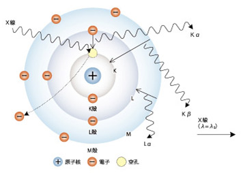 EDX-7000/8000/8100 ɫɢX侀ɹb